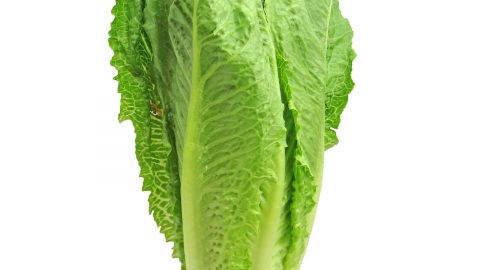 e. coli outbreak
