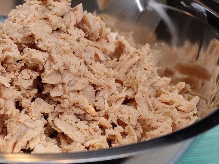 plant-based tuna