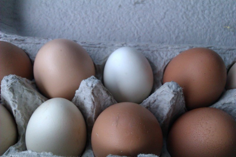 “Eggs” by bunnicula, CC BY-ND 2.0