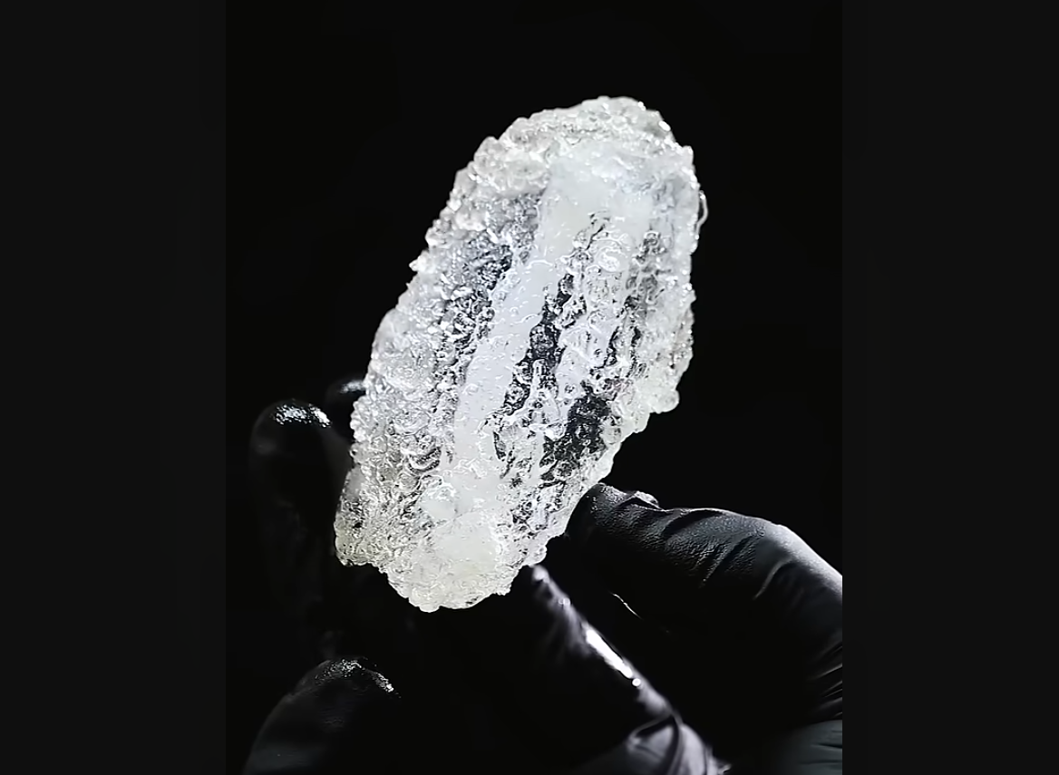 Food Blogger Creates Transparent Chicken Wings