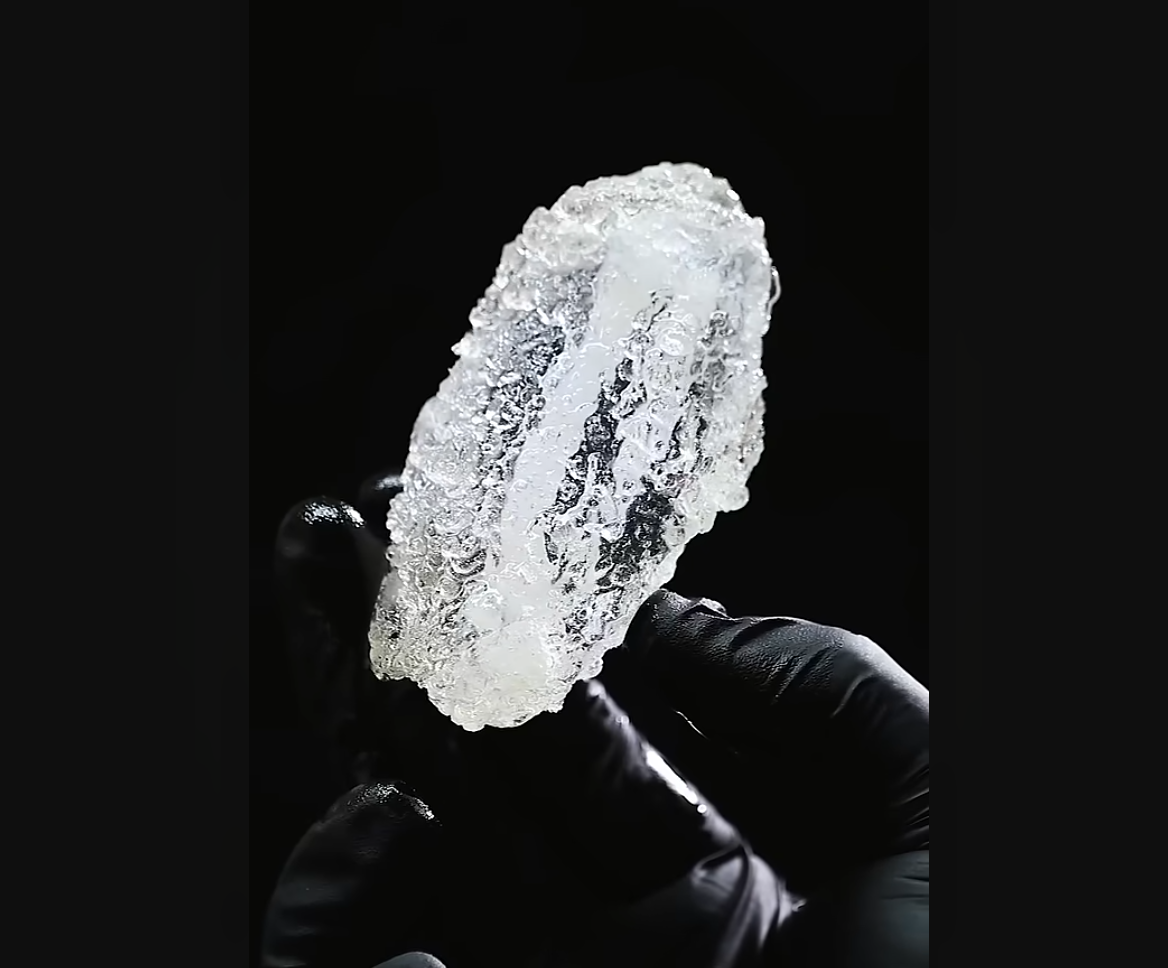 Food Blogger Creates Transparent Chicken Wings