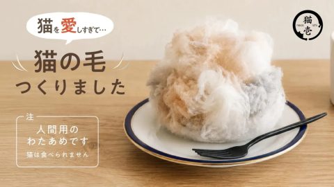 Japan Is Selling Cotton Candy That Looks Like Cat Fur