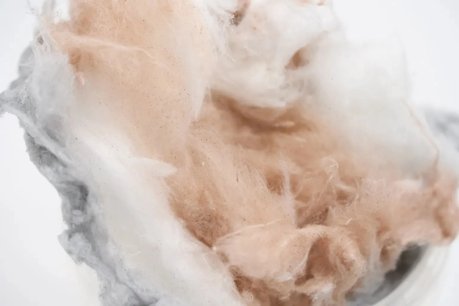 Japan Is Selling Cotton Candy That Looks Like Cat Fur