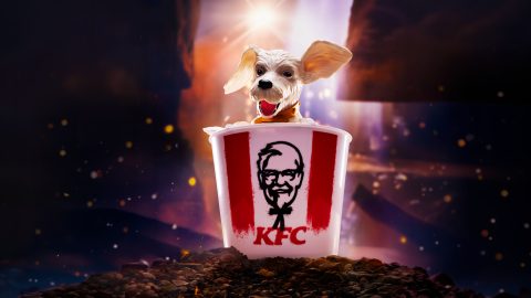 Supergirl Krypto Collectible Bucket