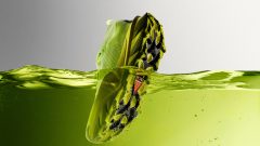 Nike's Newest Sneaker Is Inspired By Pickle Juice